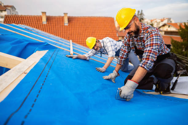 Best Emergency Roof Repair Services  in Hamlin, WV