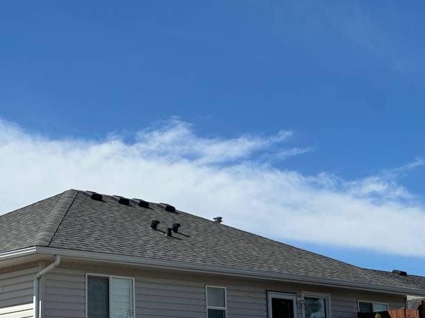 Best Green or Eco-Friendly Roofing Solutions  in Hamlin, WV